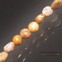 Collier Corail Fossile grains