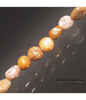 Collier Corail Fossile grains – BIJOUX FANTAISIE JAULNES 77