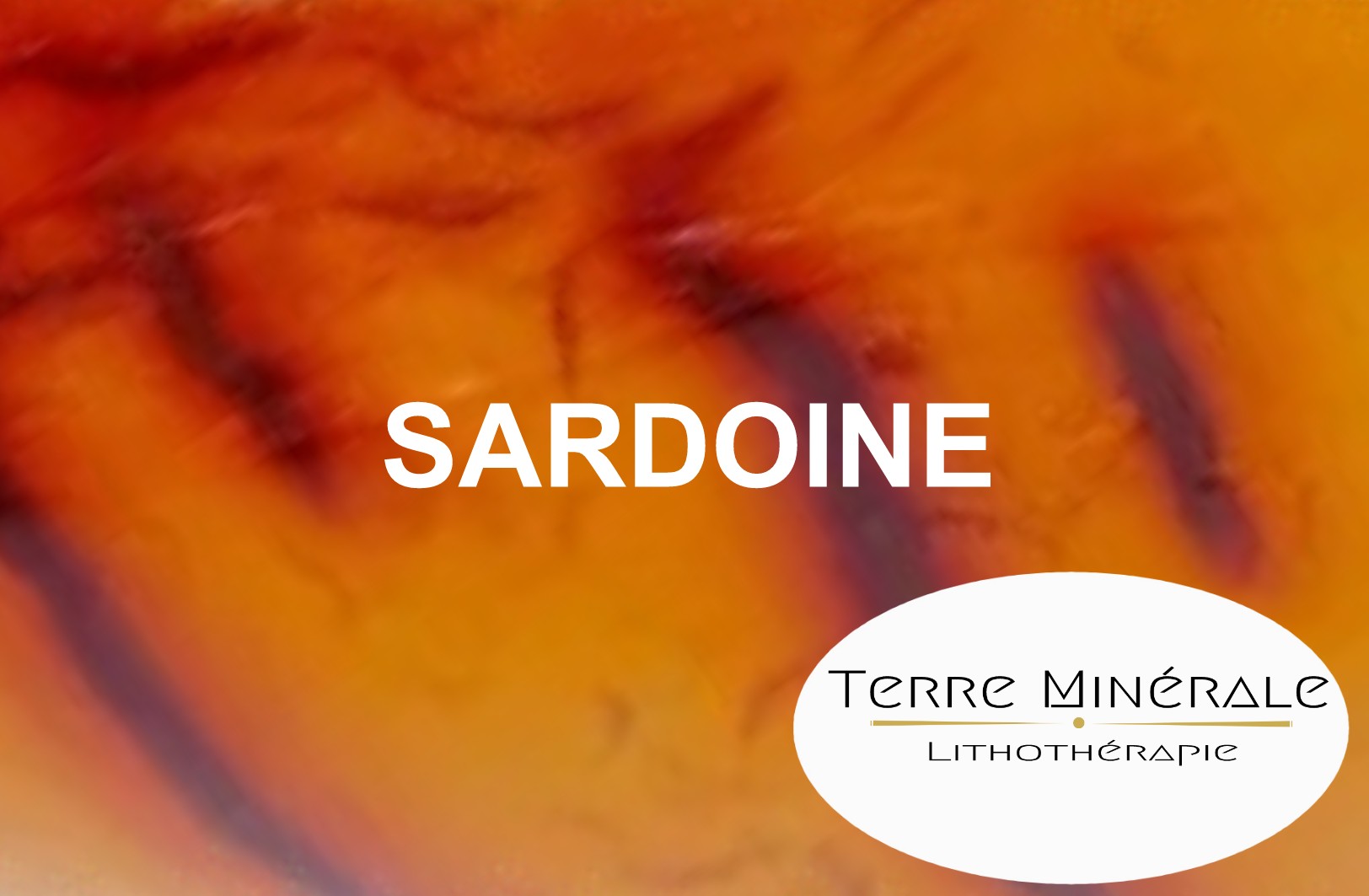 SARDOINE  - PIERRES LITHOTHÉRAPIE