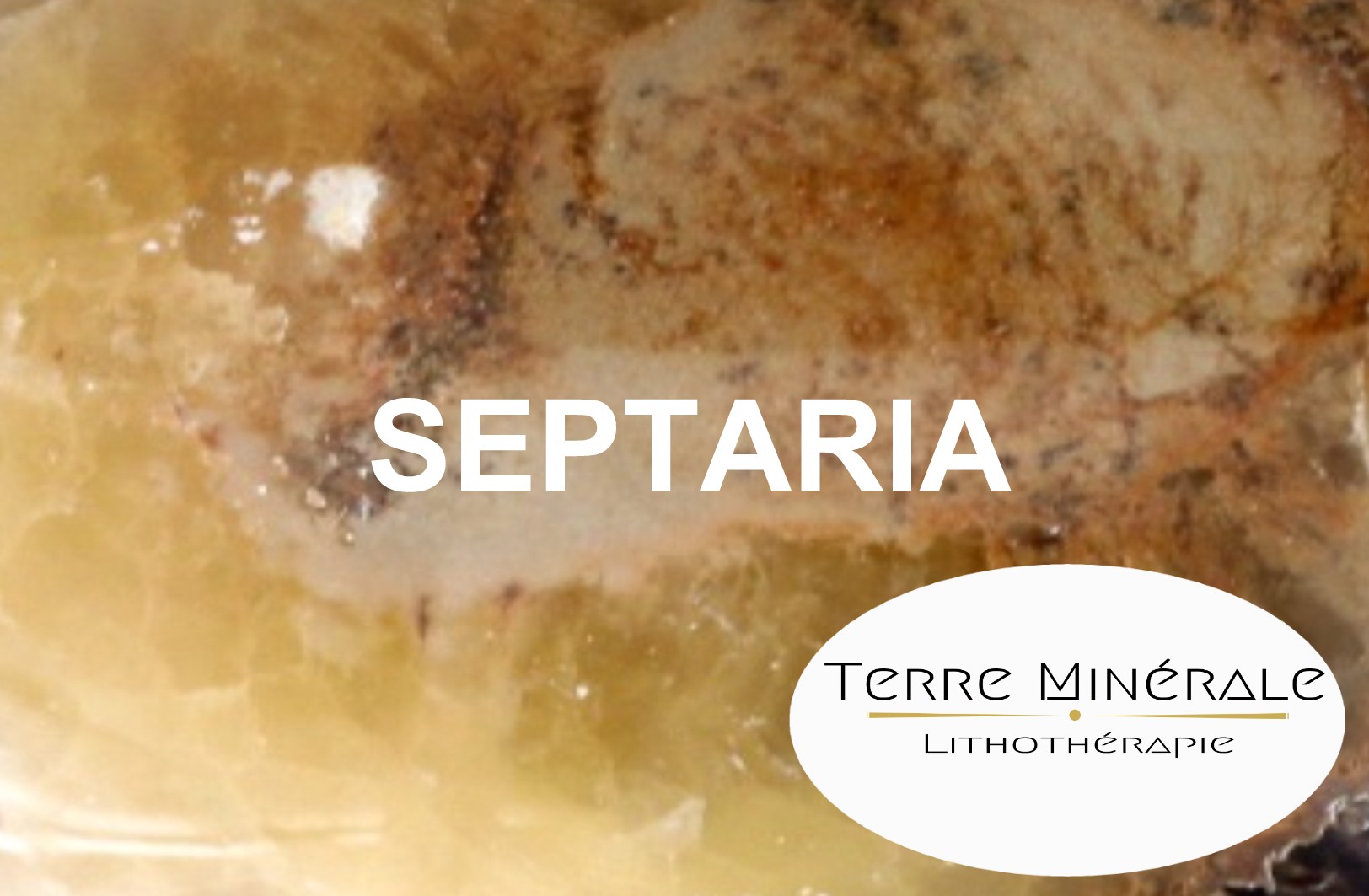 SEPTARIA - BIJOUX PIERRES LITHOTHÉRAPIE