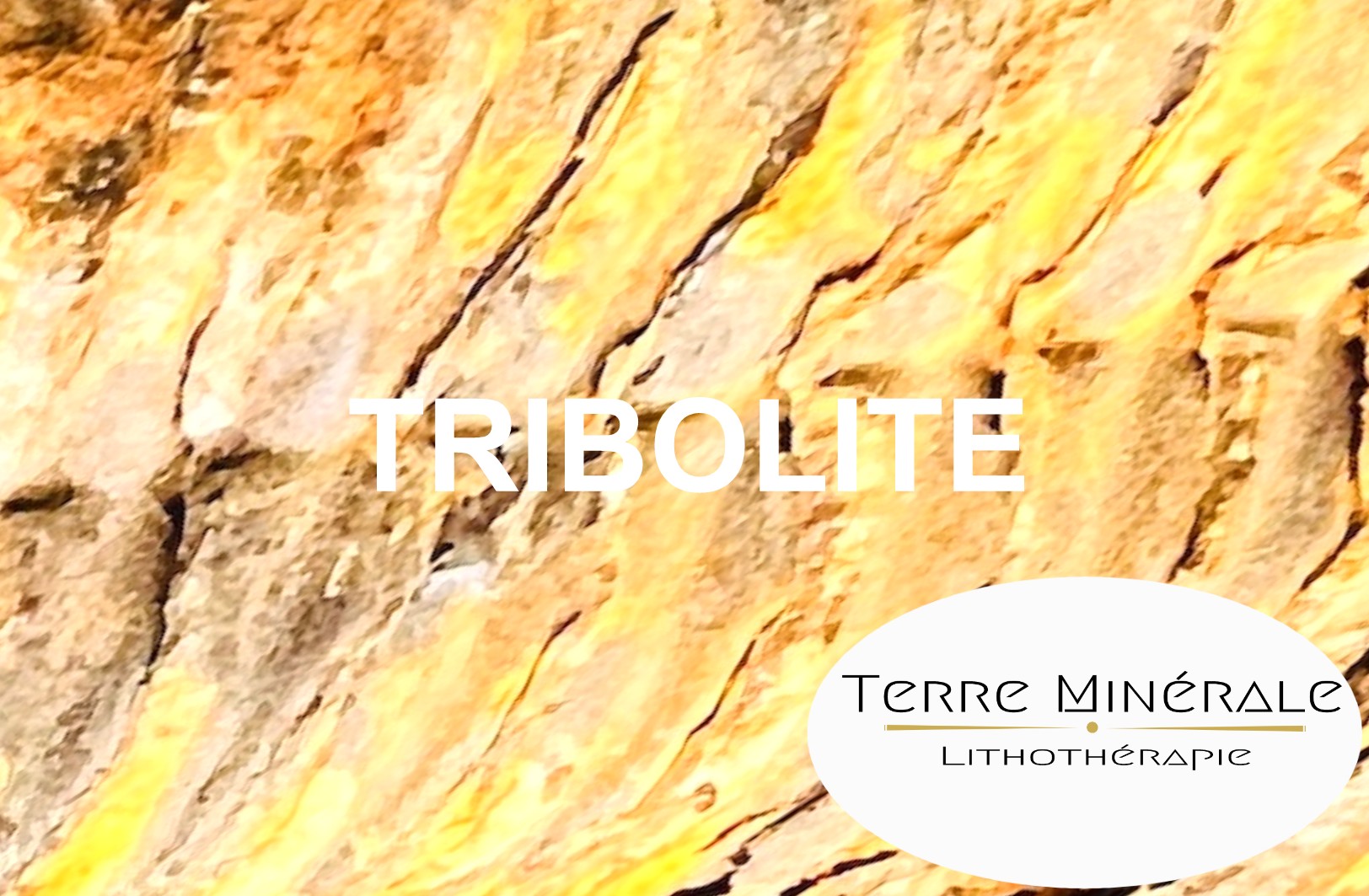 TRIBOLITE - PIERRES LITHOTHÉRAPIE