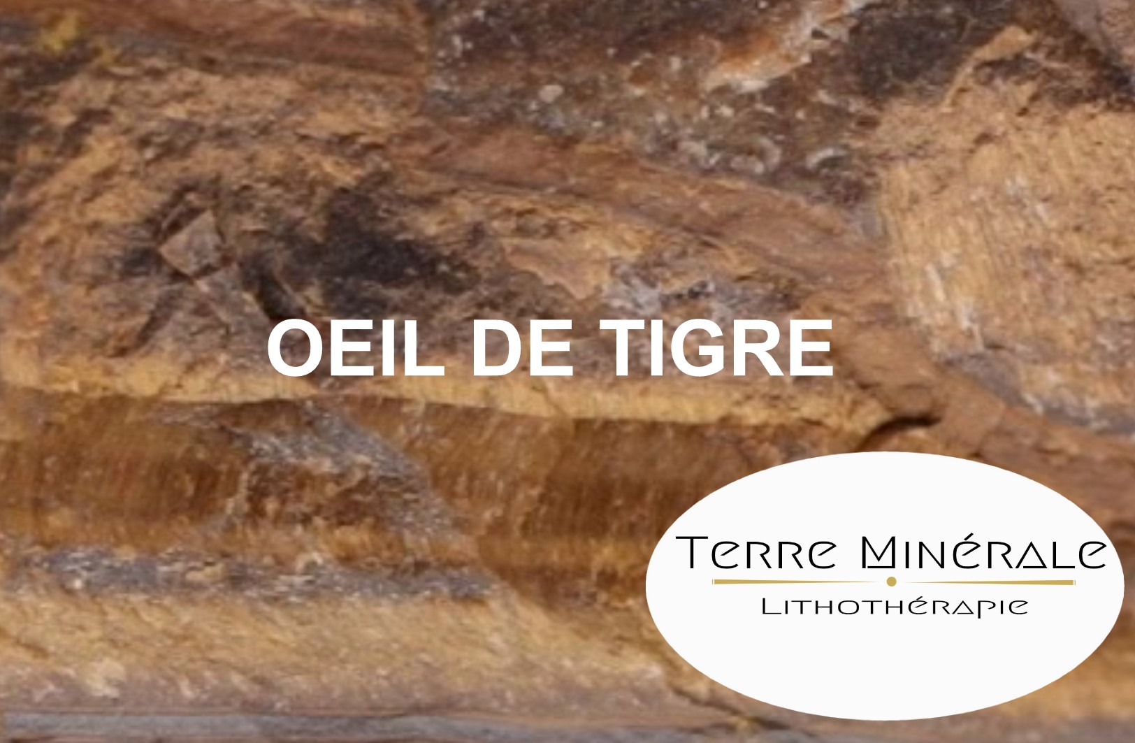 OEIL DE TIGRE